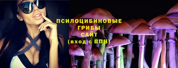 марки lsd Горнозаводск