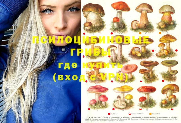 мяу мяу мука Мегион