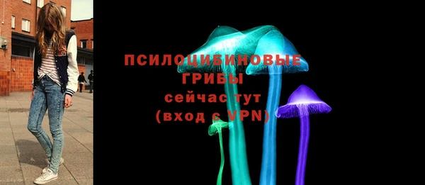 стафф Медвежьегорск