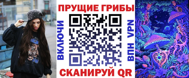 blacksprut зеркало  Западная Двина  Галлюциногенные грибы GOLDEN TEACHER  наркота 