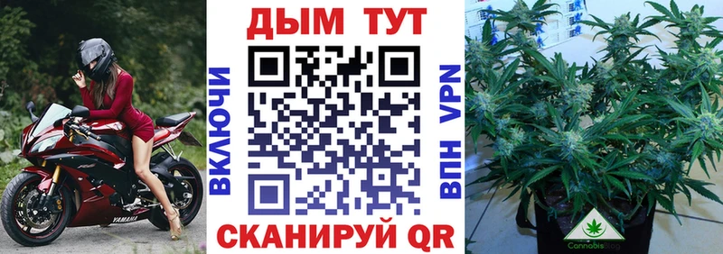 omg онион  Западная Двина  darknet Telegram  МАРИХУАНА план 